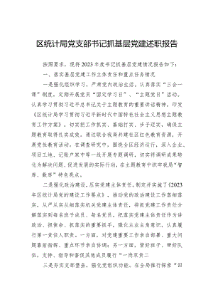 区统计局党支部书记抓基层党建述职报告.docx