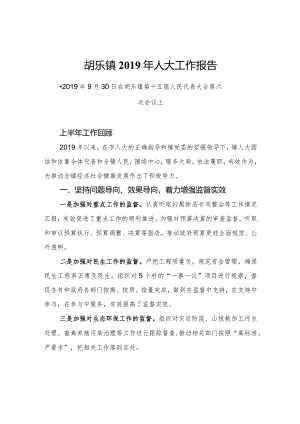 胡乐镇2019年人大工作报告.docx