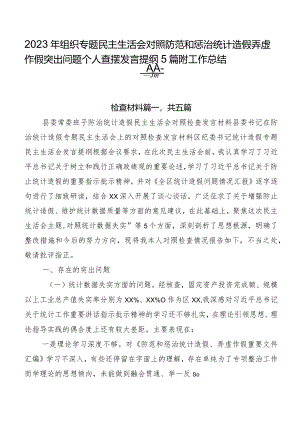 2023年组织专题民主生活会对照防范和惩治统计造假弄虚作假突出问题个人查摆发言提纲5篇附工作总结二篇.docx
