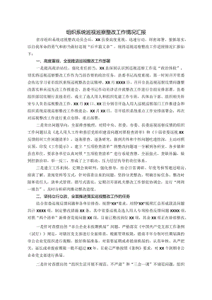 组织系统巡视巡察整改工作情况汇报.docx