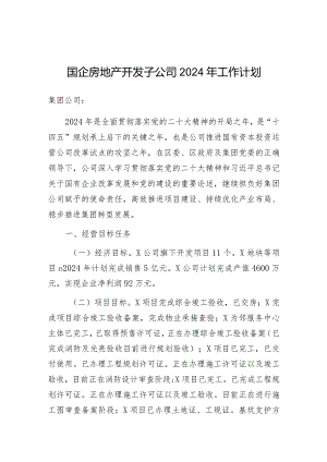 2024年工作计划（国企房地产开发子公司）.docx