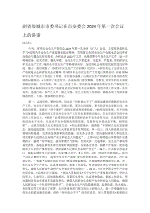 副省级城市市委书记在市安委会2024年第一次会议上的讲话.docx