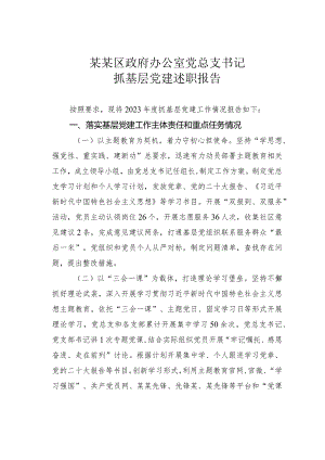 某某区政府办公室党总支书记抓基层党建述职报告.docx