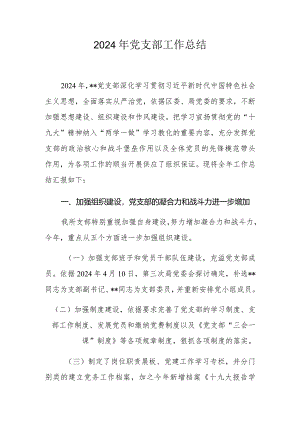 2024党支部工作总结.docx