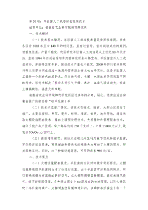 2024年安徽农业主推技术第31项：羊肚菌人工栽培绿色轻简技术.docx