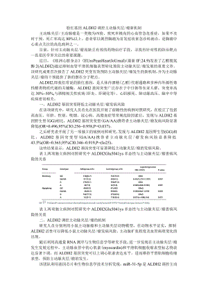 脸红基因ALDH2调控主动脉夹层-瘤新机制与影响国人急性冠脉综合征发病机制.docx