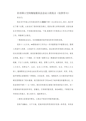 在市国土空间规划委员会会议上的发言.docx