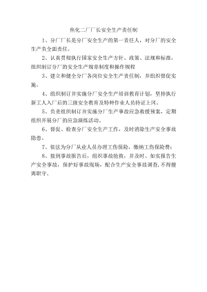 焦化二厂厂长安全生产职责.docx