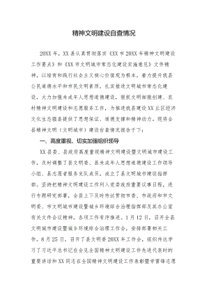 精神文明建设自查情况.docx