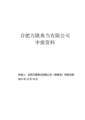 XX典当企业申报范本介绍.docx