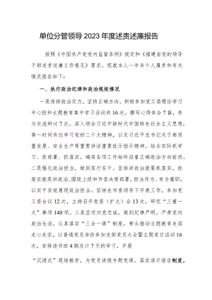 2023年度述责述廉报告（分管领导）.docx