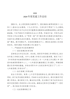 2024党建工作总结.docx