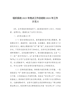 2023年亮点工作总结和2024年工作计划（组织系统）.docx