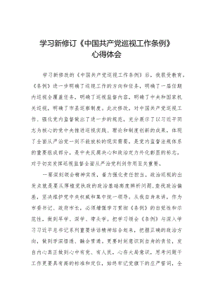 领导干部学习2024版新修订《中国共产党巡视工作条例》心得体会14篇.docx