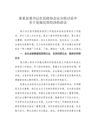 某某县委书记在县政协会议分组讨论中关于发展民营经济的讲话.docx