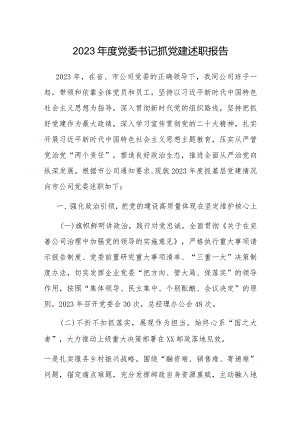 2023年度抓党建述职报告（党委书记）.docx