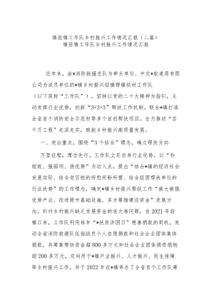 镇驻镇工作队乡村振兴工作情况汇报（二篇）.docx