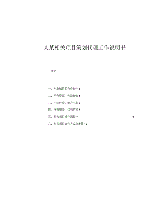 XX项目管理策划代理工作说明书.docx