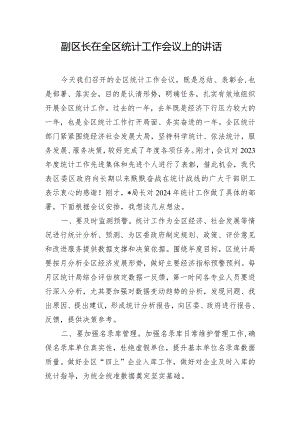 副区长在全区统计工作会议上的讲话.docx