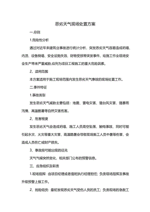 恶劣天气现场处置方案(详细).docx