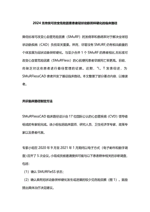 2024无传统可改变危险因素患者冠状动脉粥样硬化的临床路径.docx