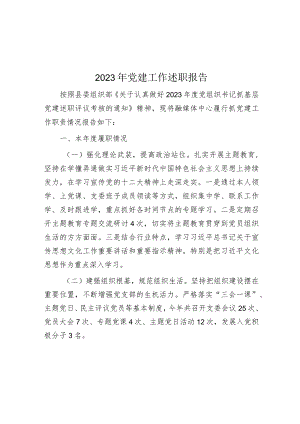 2023年度党建工作述职报告.docx