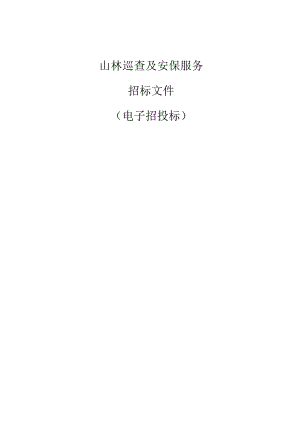 山林巡查及安保服务招标文件.docx