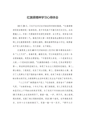 红旗渠精神学习心得体会.docx
