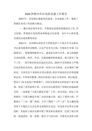 2024供销合作社党组党建工作报告.docx