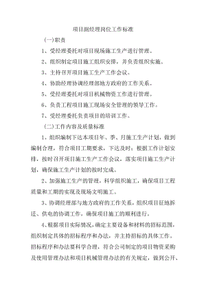 项目副经理岗位工作标准.docx