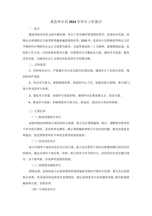 某县审计局2024年审计工作要点.docx