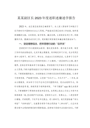 某某副区长2023年度述职述廉述学报告.docx