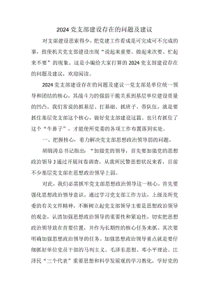 2024党支部建设存在的问题及建议.docx