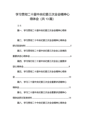 学习贯彻二十届中央纪委三次全会精神心得体会13篇（详细版）.docx