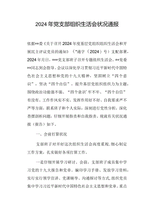 2024党支部组织生活会情况通报.docx
