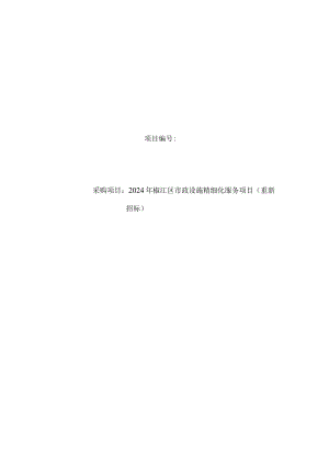 市政设施精细化服务项目（重新招标）招标文件.docx
