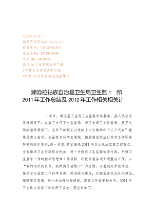 XX卫生局卫生监督所年度工作总结与工作计划.docx