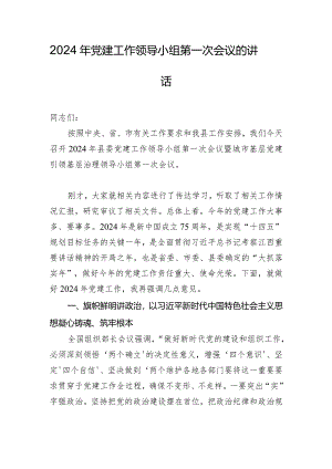 2024年党建工作领导小组第一次会议的讲话.docx