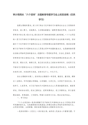 审计局局长“六个坚持”主题教育专题学习会上的发言稿.docx