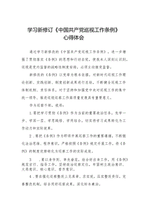 2024学习新修改的《中国共产党巡视工作条例》的心得体会14篇.docx