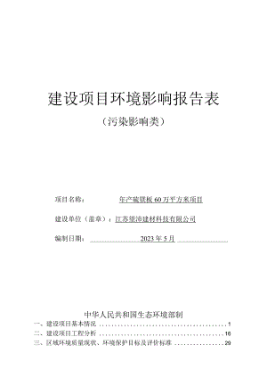 年产硫镁板60万平方米项目环评报告表.docx