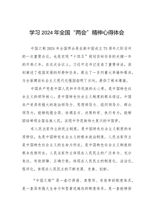 学习贯彻2024年全国两会精神心得体会合辑二十篇.docx