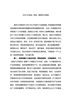 2024年全国“两会”精神学习感悟心得体会.docx
