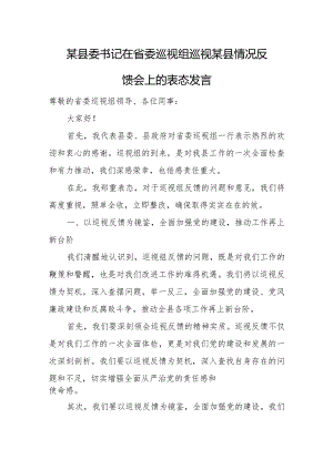 某县委书记在省委巡视组巡视某县情况反馈会上的表态发言.docx