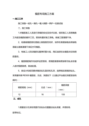 植筋专项施工方案.docx