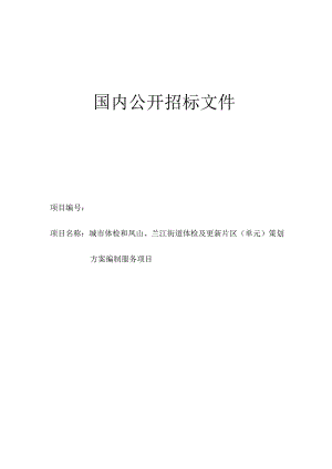 城市体检和凤山、兰江街道体检及更新片区（单元）策划方案编制服务项目招标文件.docx