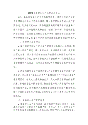 2024年度安全生产工作计划要点.docx
