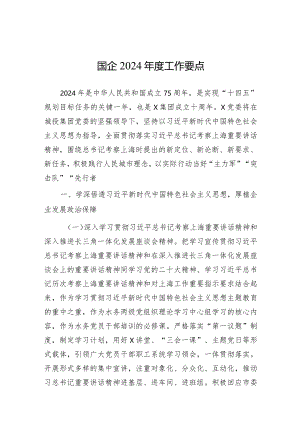 2024年工作要点（国企）.docx