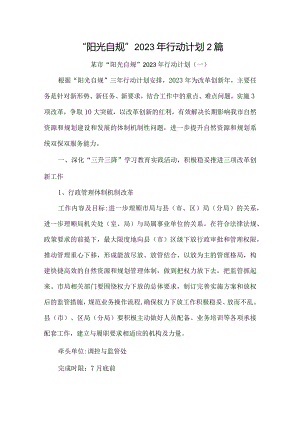 “阳光自规”行动计划2篇.docx