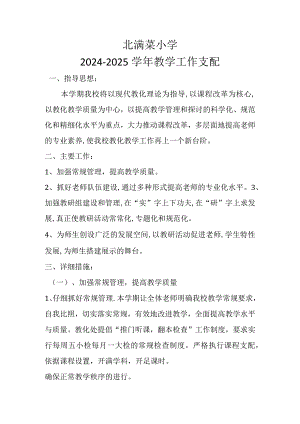 2024--2025学校教学计划.docx